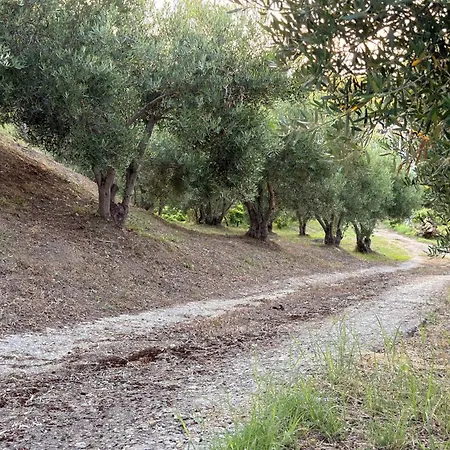 Alkinoos Majestic View 5100 M2 Private Estate Villa