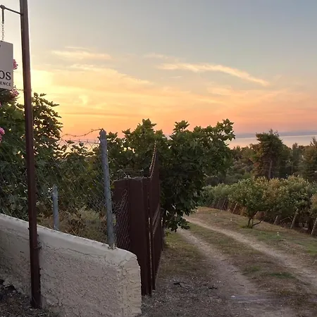 Alkinoos Majestic View 5100 M2 Private Estate Villa