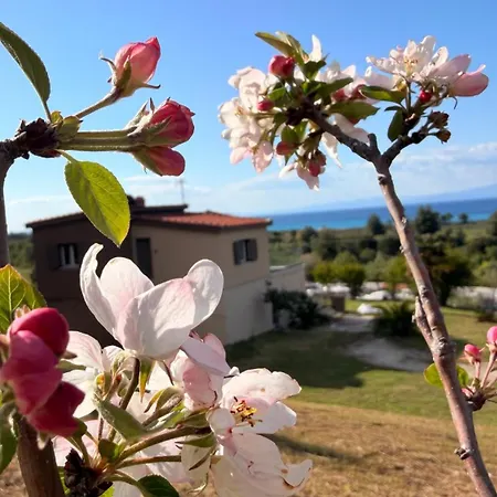 Alkinoos Majestic View 5100 M2 Private Estate