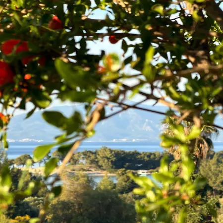 Alkinoos Majestic View 5100 M2 Private Estate * Pefkochori