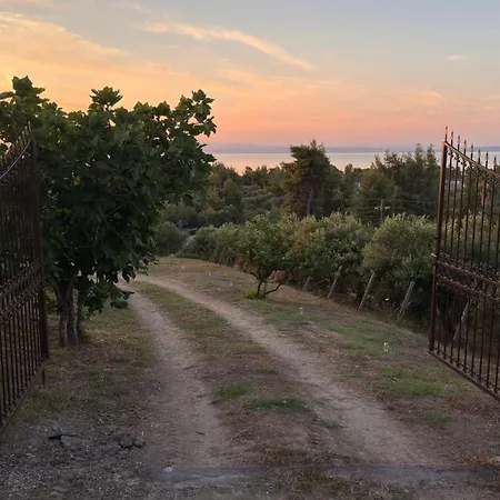 Alkinoos Majestic View 5100 M2 Private Estate Vilă