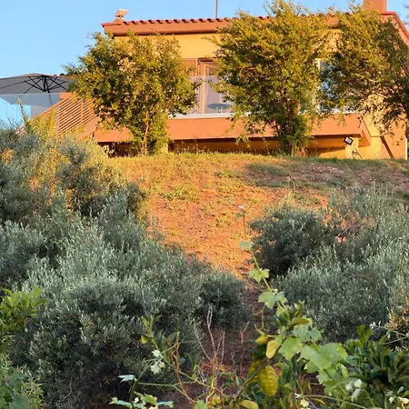 Alkinoos Majestic View 5100 M2 Private Estate Vilă Pefkochori