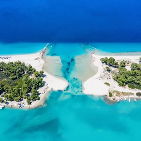 Villa Alkinoos Majestic View 5100 M2 Private Estate
